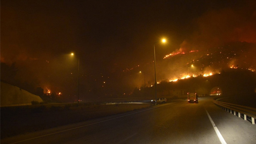 Mersin'de orman yangını: Alevler Akkuyu Nükleer Santrali'ne doğru ilerliyor