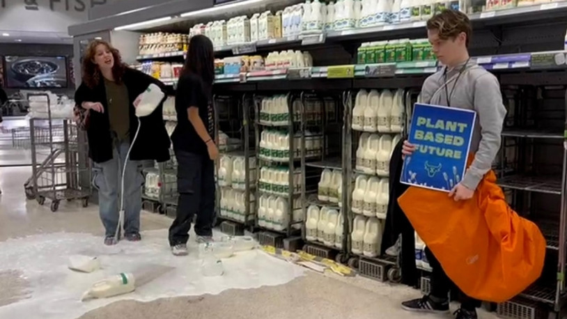 Veganlar yaptıkları eylemde marketlerdeki sütleri yere döktü