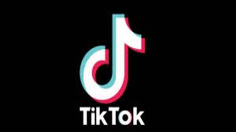 TikTok Videolarını Filigransız ve Kısıtlamasız İndirin