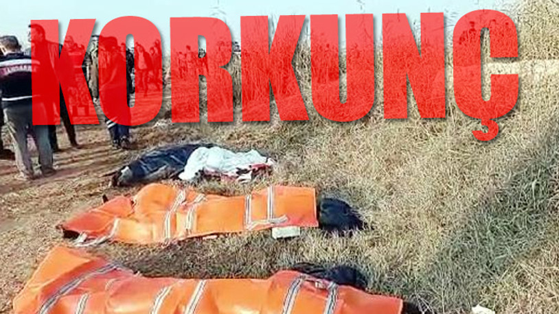 Şanlıurfa’da katliam gibi kaza: 6 kişi öldü