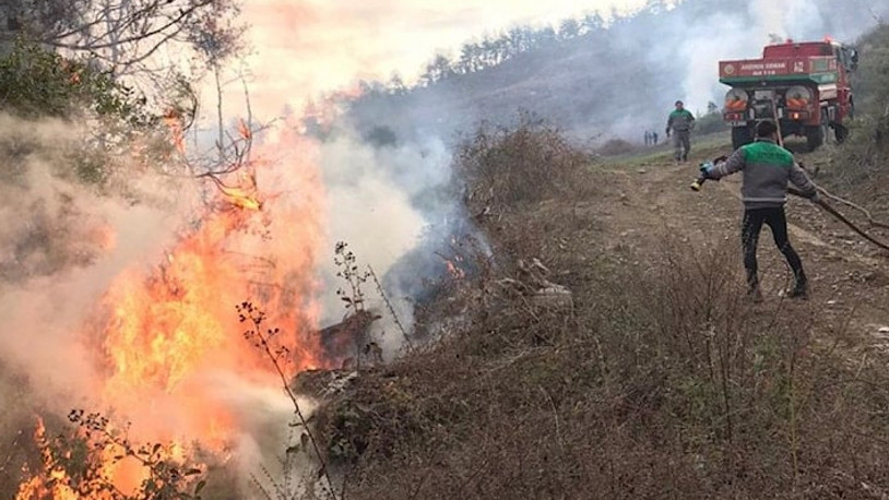 17 farklı yerden ormanı yaktığı iddia edilen şahıs gözaltına alındı