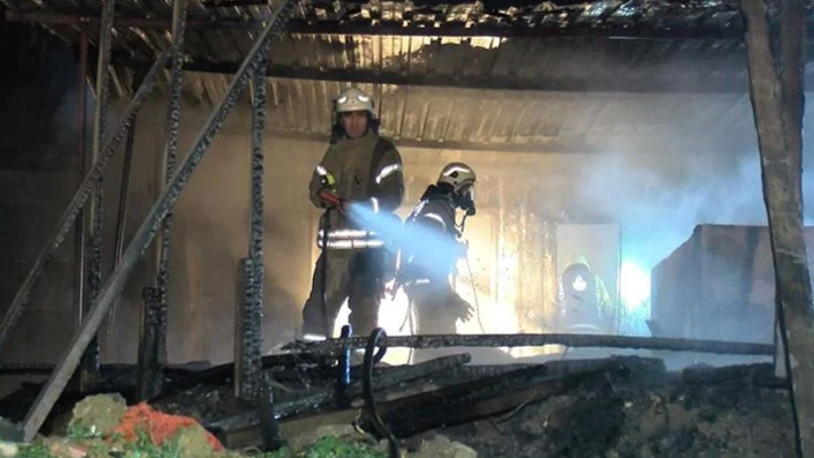 Tuzla'da yangın: Seralara sıçradı