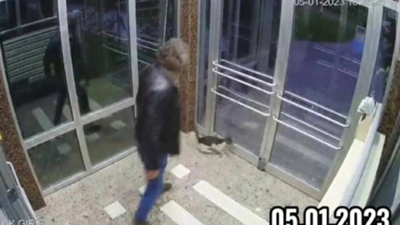 Kediyi tekmeleyen şahıs serbest bırakıldı