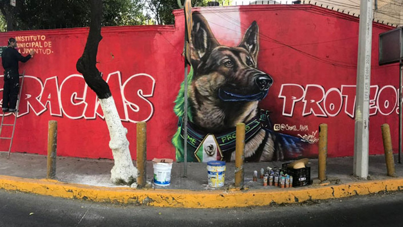 Proteo anısına: Teşekkürler şampiyon