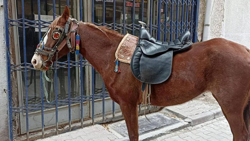 Konya'da alkollü olarak atıyla caddede dolaşan kişiye para cezası