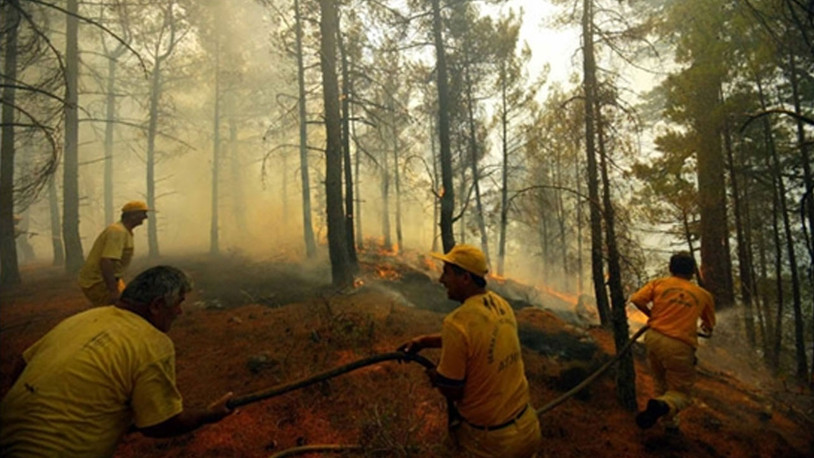 Bolu'da, bu yıl orman yangınlarında 150 hektar alan zarar gördü