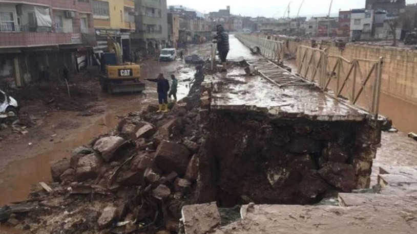 Sel felaketinden sonra balıklar oksijensiz kalarak boğuldu