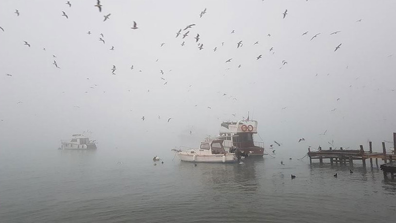 İstanbul'da deniz ulaşımına sis engeli