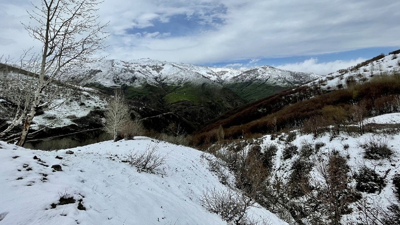 Muş'ta kar esareti: 31 yerleşim yerinin yolları ulaşıma kapandı