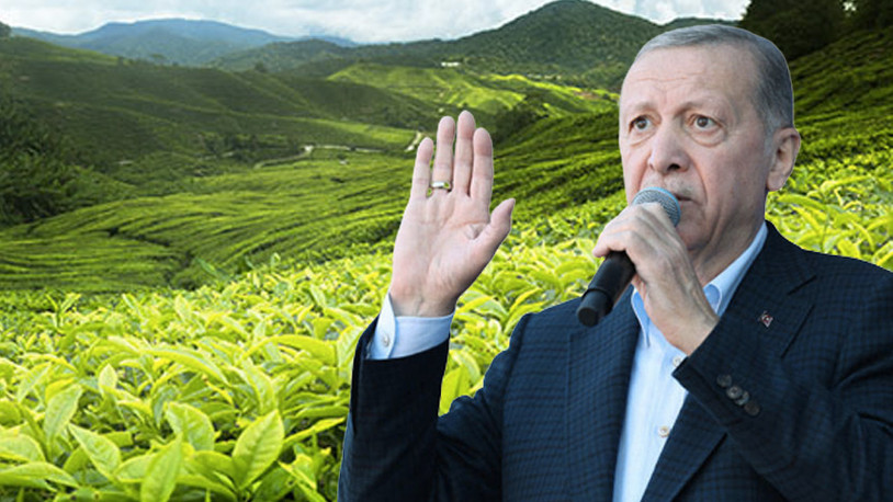 Erdoğan, 2023 yılı yaş çay alım fiyatını açıkladı