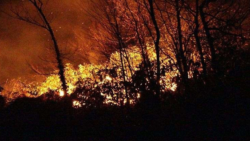 Valilikten orman yangınlarına ilişkin uyarı