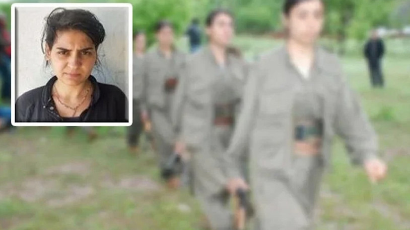 PKK'lı terörist, Türkiye’ye giriş yaparken yakalandı