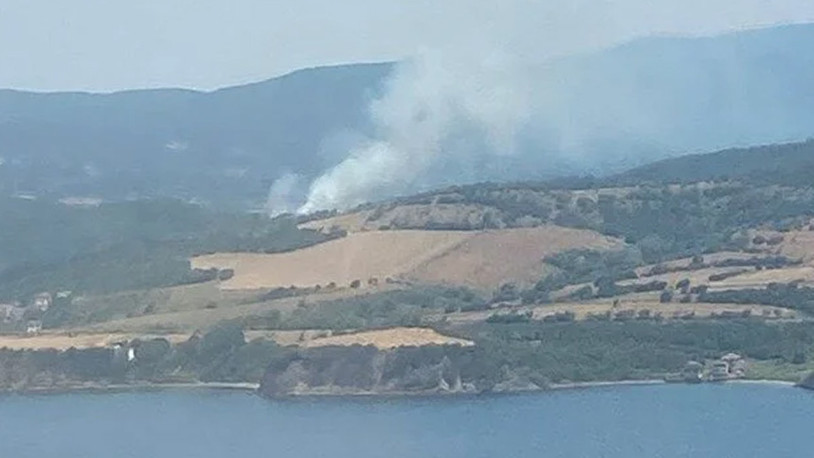 Çanakkale’de orman yangını