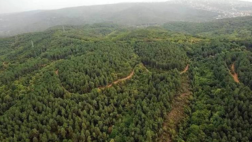 Bir şehirde daha ormanlara girişler yasaklandı