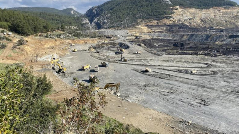 Ormancılar Derneği Başkanı Özkara: Akbelen'de 65 bin ağacın kesildiği anlaşılıyor