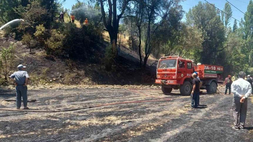 Denizli'de anız yangını