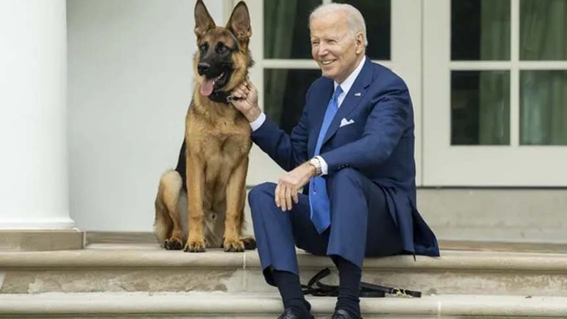 Biden'ın köpeği en az 10 ajanı ısırdı