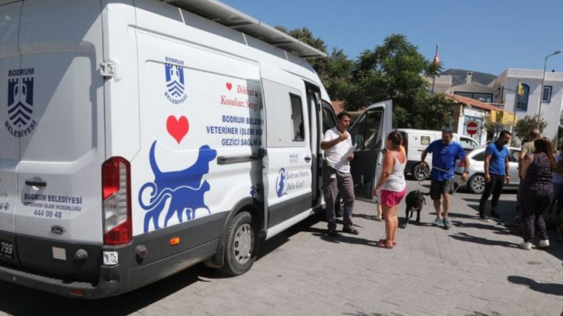 Bodrum Belediyesi'nden 272 sahipsiz sokak hayvanına sağlık hizmeti