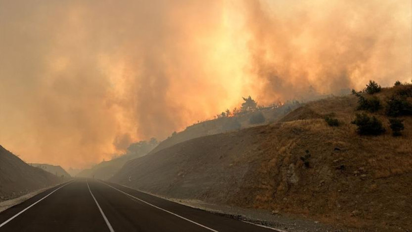 Kahramanmaraş'ta orman yangını sürüyor: 3 personel dumandan etkilendi, görevli aracı devrildi