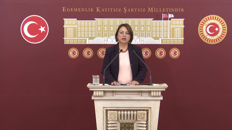 CHP Adana Milletvekili Müzeyyen Şevkin: Depremin üzerinden 5 ay geçti, çile bitmedi