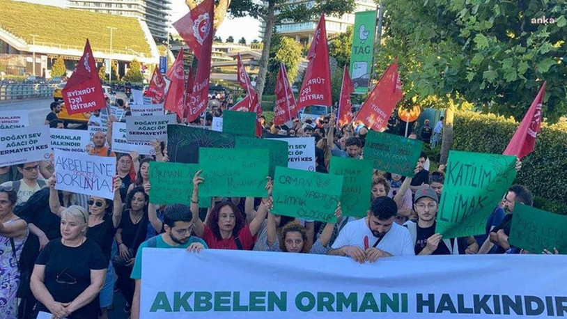 TİP'ten Limak Holding önünde eylem: Akbelen Ormanı'ndaki kesim derhal dursun!