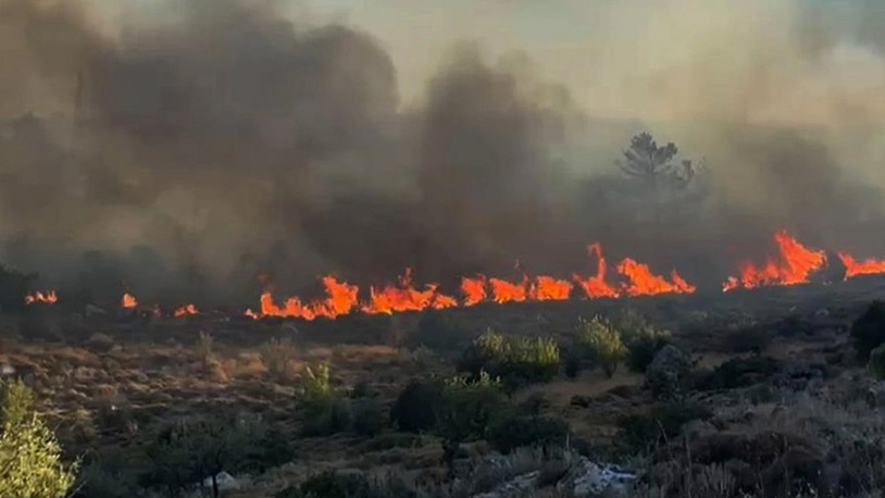 Bodrum Türkbükü'nde otluk alanda yangın