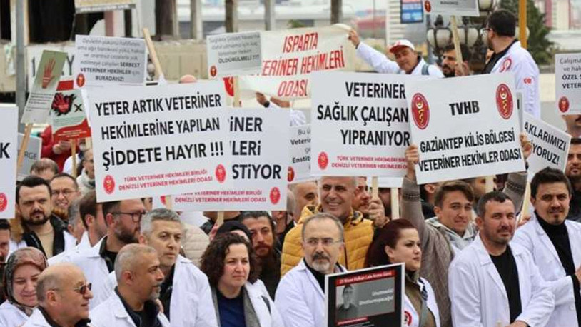 Veteriner hekimler greve çıkıyor