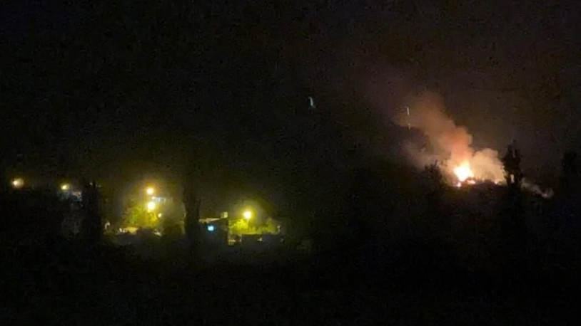 Adana'da orman yangını