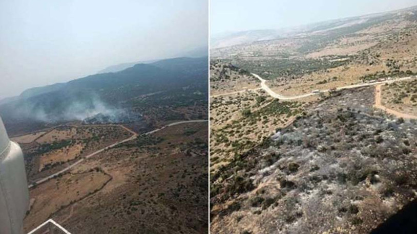 İzmir'de orman yangını