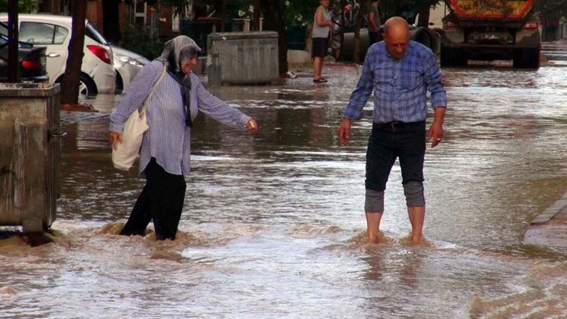 Edirne'de şiddetli sağanak ve rüzgar ağaçları devirdi