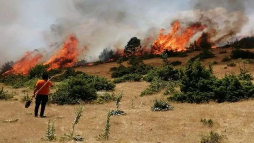 Bingöl'deki yangın 5 gündür söndürülemiyor