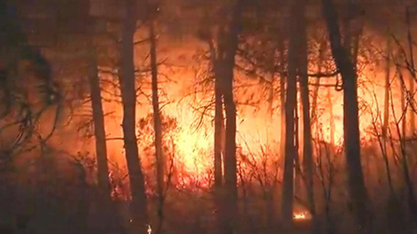 Maltepe'de orman yangını: Desteğe ihtiyacımız var