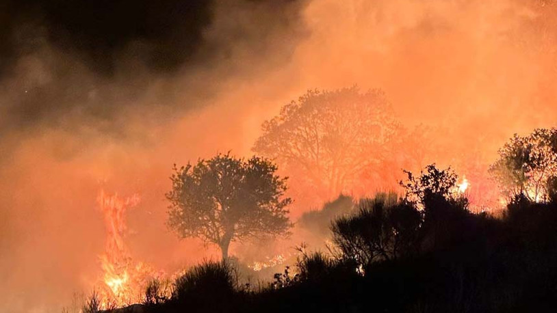 Marmara Adası'nda yangın: Alevlere müdahale ediliyor