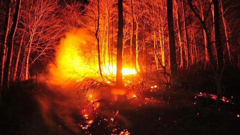 Orman yangını: 2 ölü, 12 yaralı
