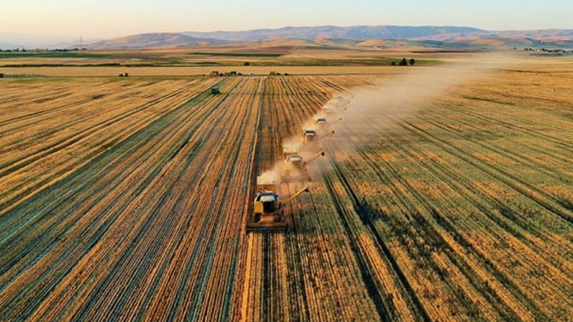 Tarım sektörü, Cumhurbaşkanı Yardımcısı Yılmaz'a dert yandı