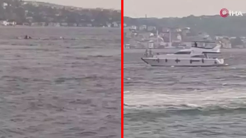 Beşiktaş'ta bir tekne alabora oldu: 4 kişi suya düştü