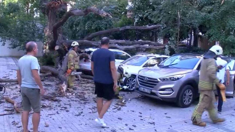 Aracın üstüne devrilen ağaç 51 daireyi icralık etti