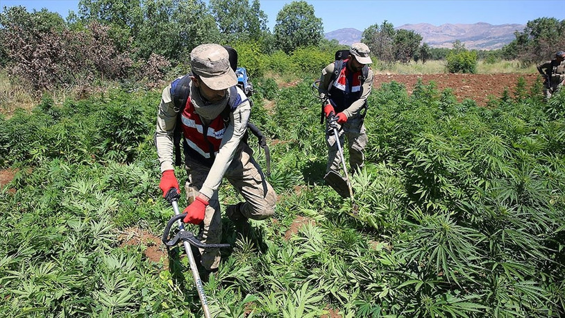 Diyarbakır'daki operasyonda 2 tondan fazla uyuşturucu ele geçirildi