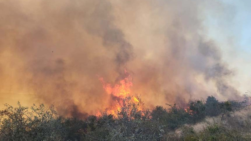 Çanakkale'deki maki yangını, ormanlık alana sıçradı