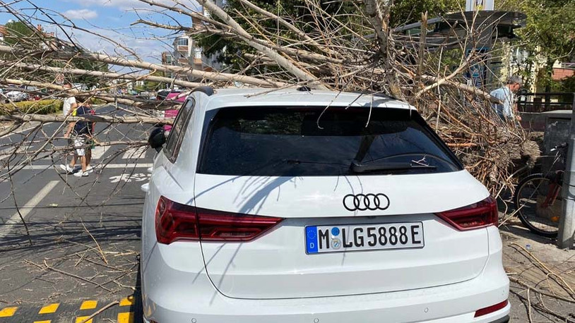 Tatile Kırklareli'ne gelen yurttaşın otomobiline ağaç devrildi