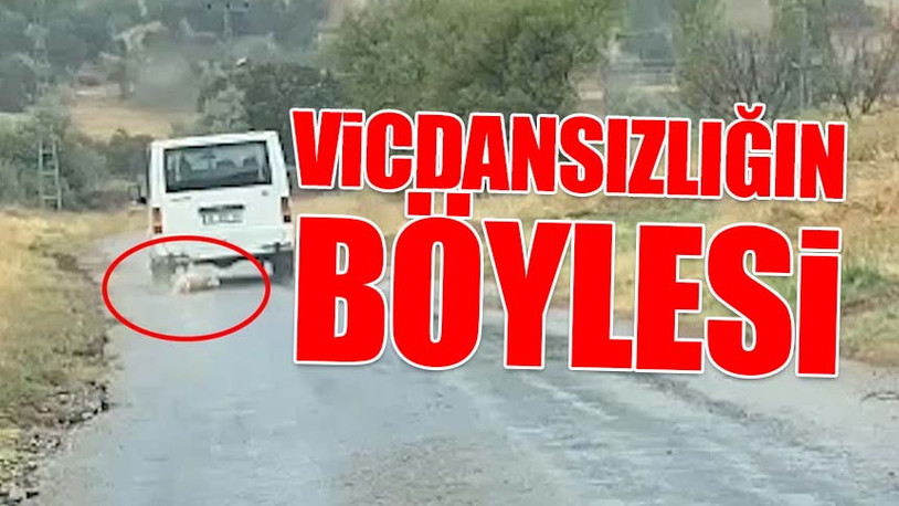 Minibüsün arkasına bağladığı köpeği kilometrelerce sürükleyerek öldürdü