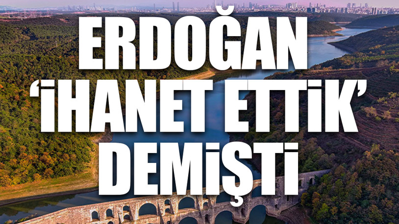 İstanbul'da 10 yılda 26 milyon ağaçlık alan talan edildi
