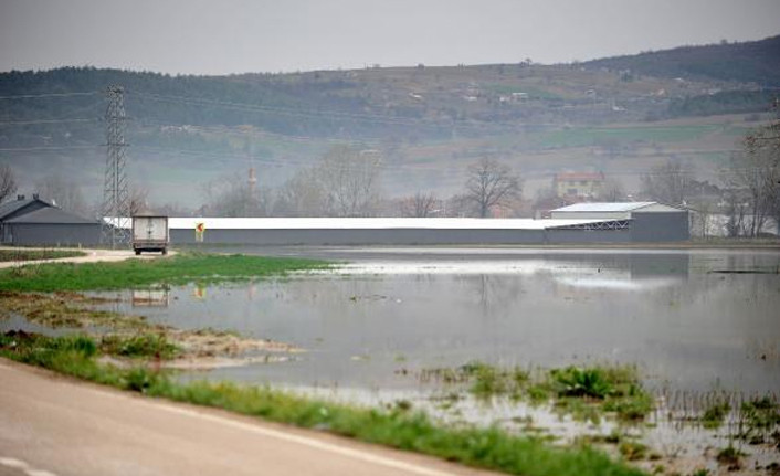 Bursa'daki sağanakta 3 bin dekarlık tarım arazisi zarar gördü - Resim : 3