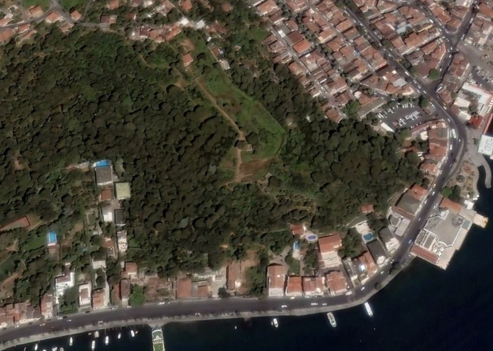 Katar'lı iş insanı boğaz kenarındaki ağaçları talan etti - Resim : 3