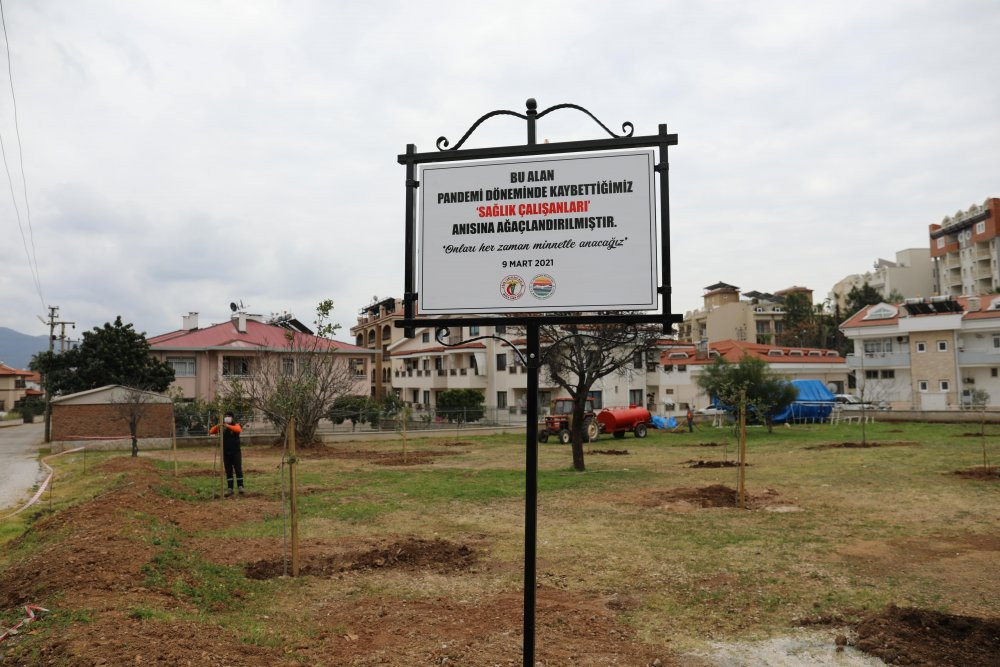Marmaris'te sağlıkçılar anısına fidan dikildi - Resim : 1