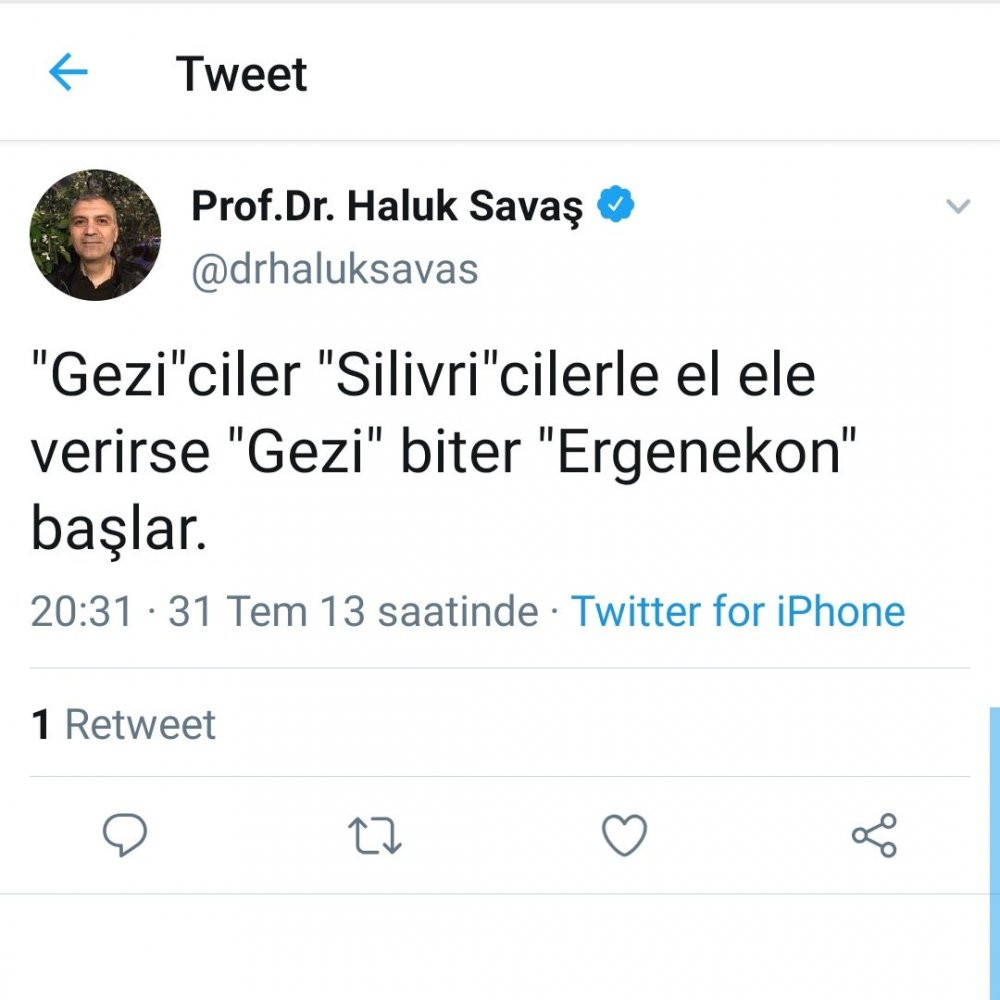 Haluk Savaş'ın FETÖ'ye destek mesajları ortaya çıktı! - Resim : 9