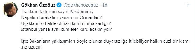 Athena Gökhan: Trajikomik durum, bırakalım yansın mı orman! - Resim : 1