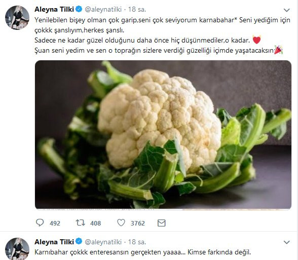 Aleyna Tilki'den ilginç paylaşım: Seni yediğim için çok şanslıyım - Resim : 1