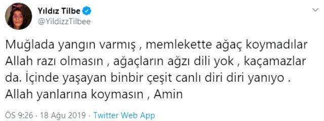 Yıldız Tilbe: Memlekette ağaç koymadılar, Allah yanlarına koymasın - Resim : 1