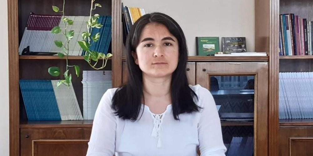 Alınan önlemler yetersiz kaldı, Diyarbakır ve Şanlıurfa’da vaka sayısı arttı - Resim : 1